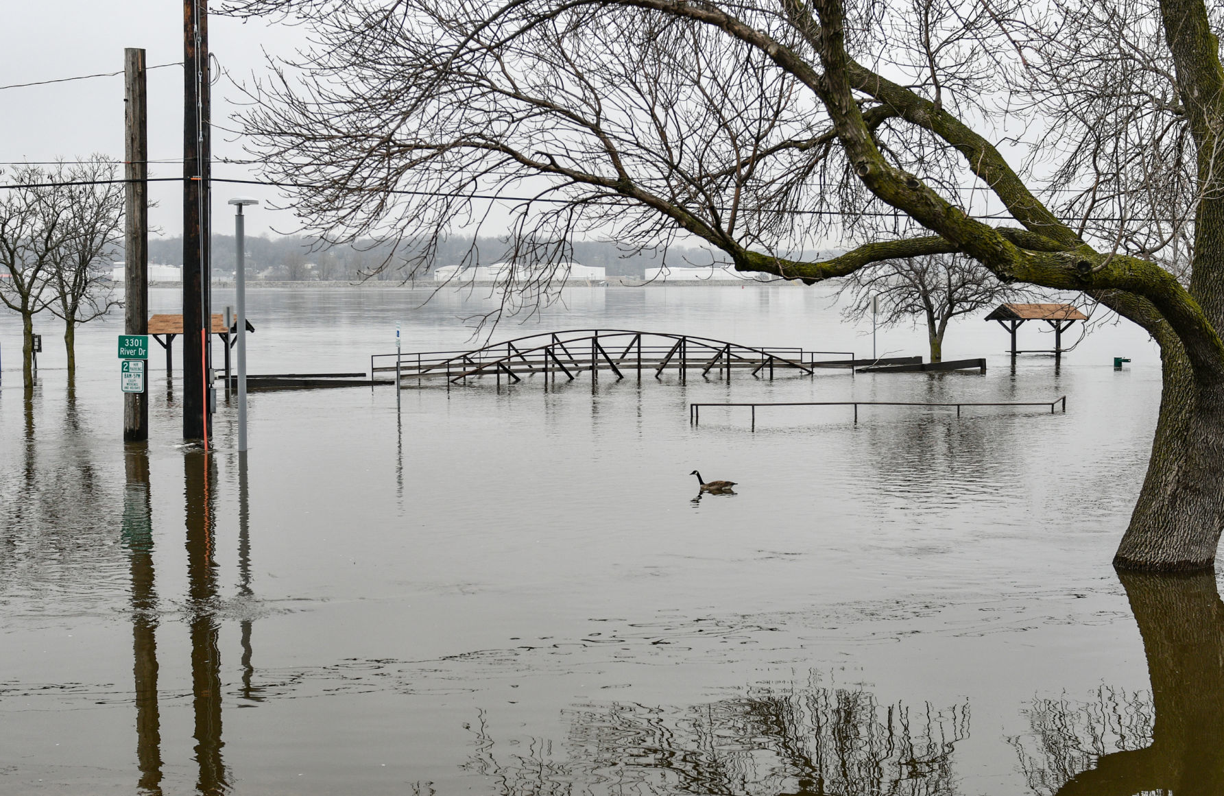 River Drive flooding in Moline
